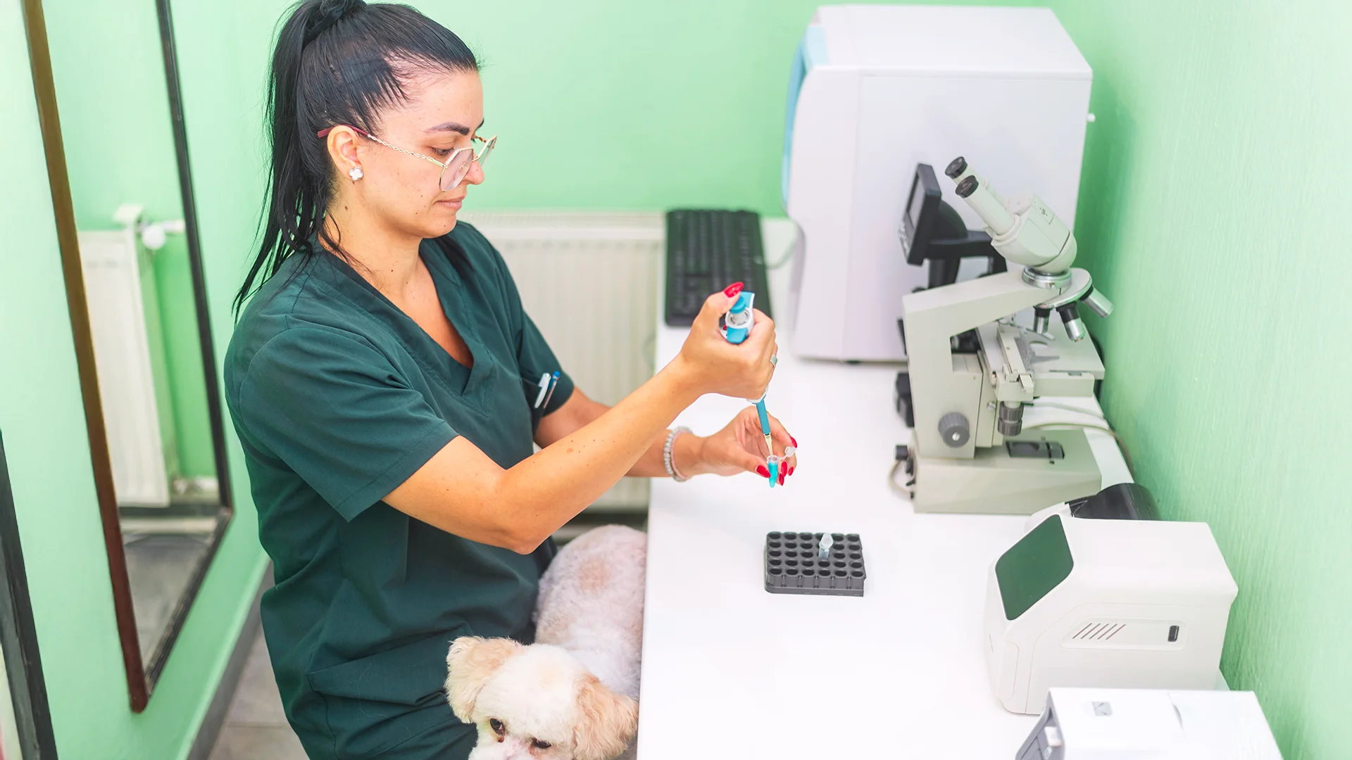 Veterinarian using a pipette for lab testing while a small white dog sits on her lap.